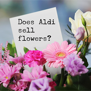 Does Aldi Sell Flowers 